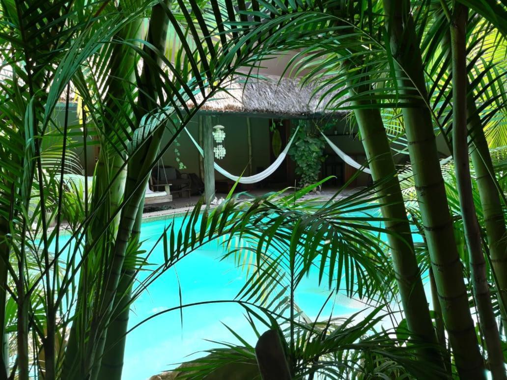 Villas Adriana, Palenque Kültér fotó